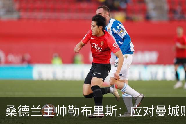 桑德兰主帅勒布里斯：应对曼城财务丑闻，坚守公平原则至关重要